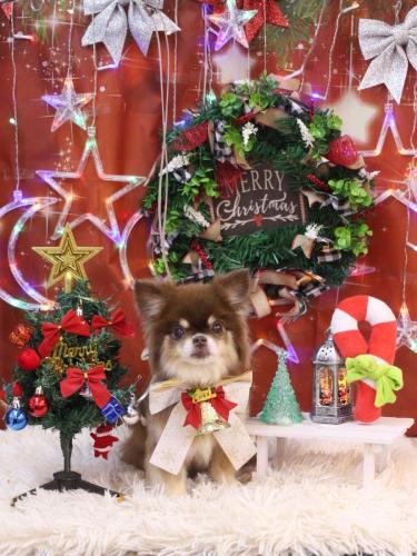 20231213エリザベスちゃん